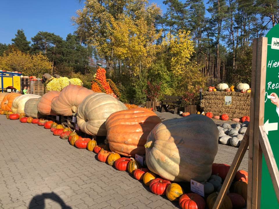 Pumpkins