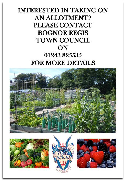 Allotment rental poster